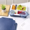 Pinnacle Penta-Go 900ml Leak-Proof Thermo Lunch Box in Bangladesh