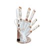 Grain Rain Knife Set with Revolving Stand Price in Bangladesh