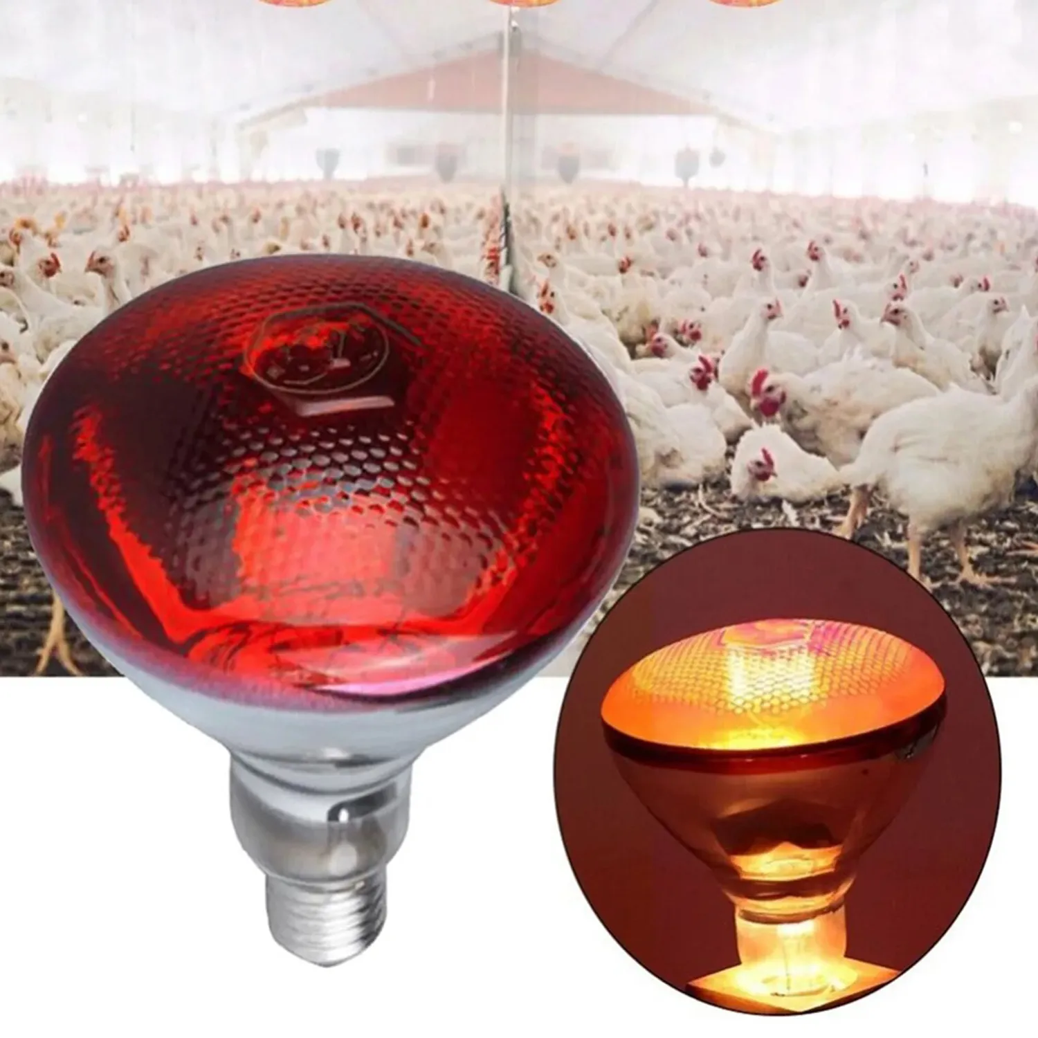 250 Watt Infrared Heat Lamp Bulb with Holder for poultry Farm and Room