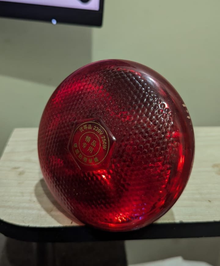 250 Watt Infrared Heat Lamp Bulb with Holder for poultry Farm and Room