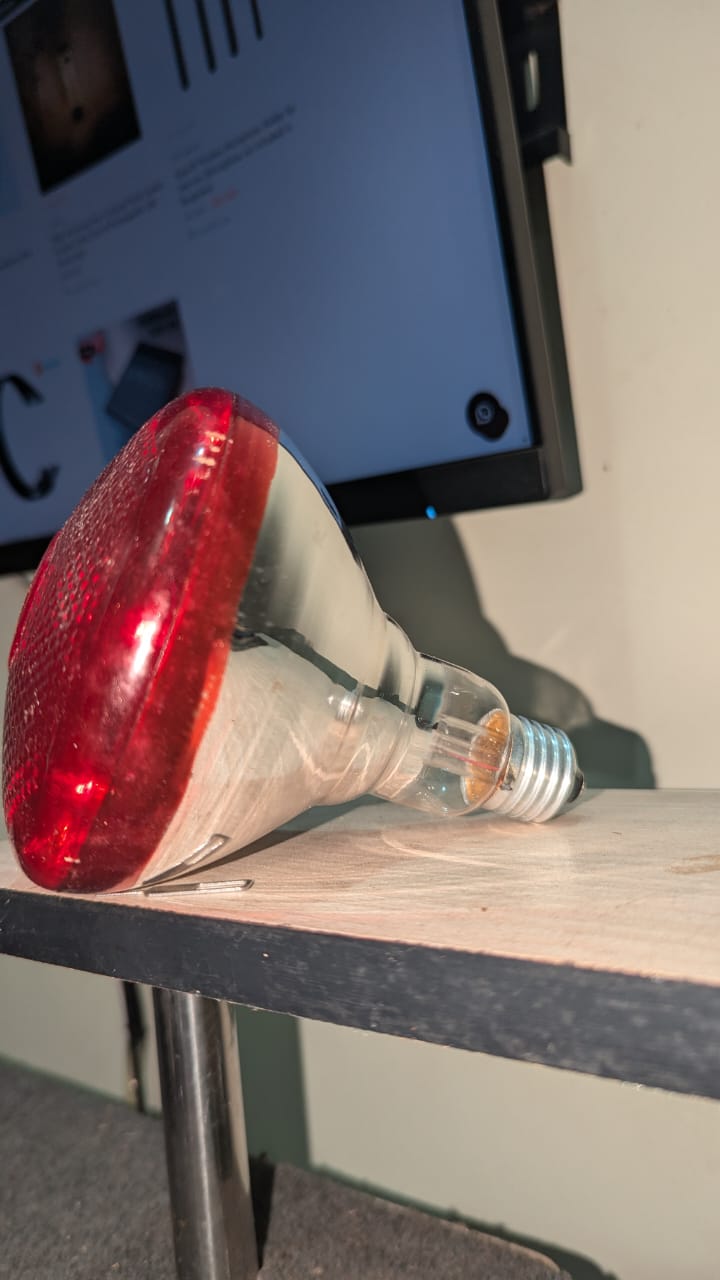 250 Watt Infrared Heat Lamp Bulb For poultry Farm and Room - Image 5